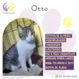 Otto