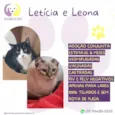 Leticia e Leona