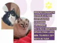 Leticia e Leona
