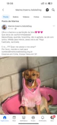 Nina
