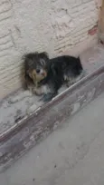 Não sei o nome