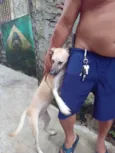 Bela