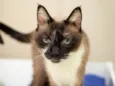 Darwin