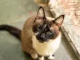 Darwin