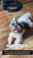 Lua 