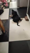 Tobi