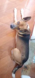 Guru