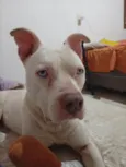 Não tem nome