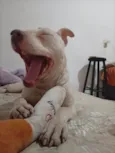 Não tem nome