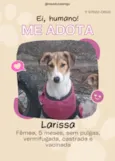 Protetora 