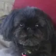 Charlie 