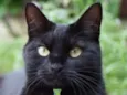 Salem