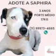 Saphira