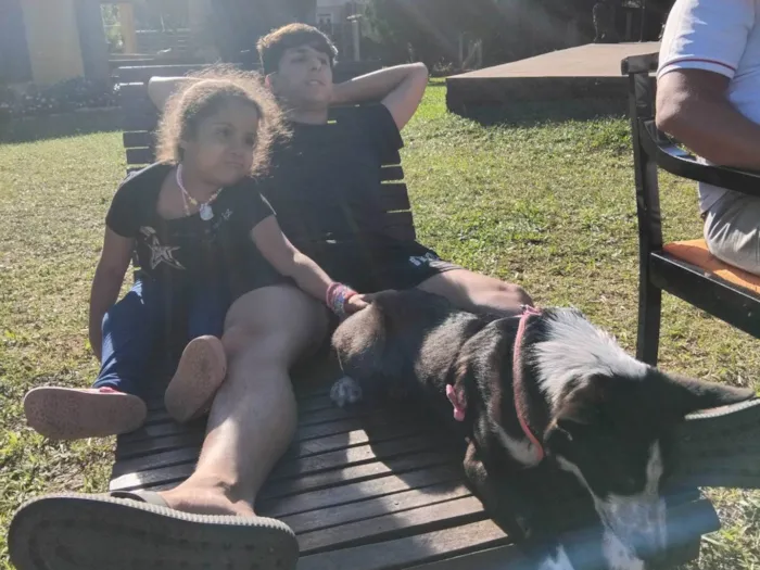 Cachorro ra a SRD-ViraLata idade 2 a 6 meses nome Bia