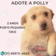 Polly