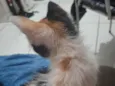 Sem nome