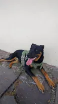 Kira 
