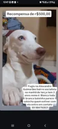 Bianca 