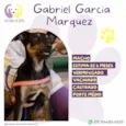 Gabriel