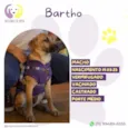 Bartho