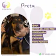 Preta