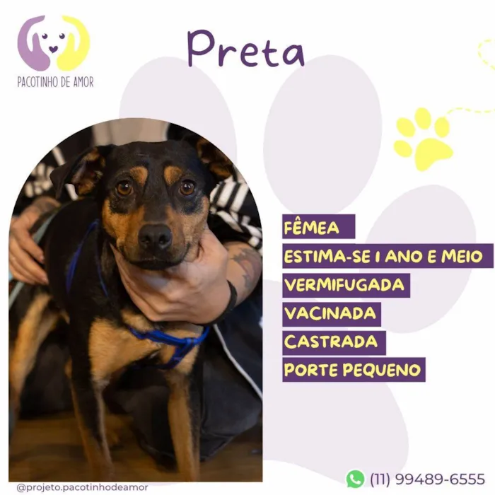 Cachorro ra a SRD-ViraLata idade 1 ano nome Preta
