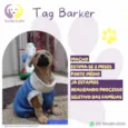Tag Barker