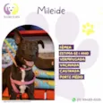 Mileide