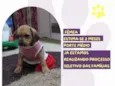 Ma Patas