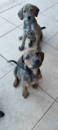 Frankie, Abbie e Bucky
