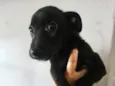 Rômulo 
