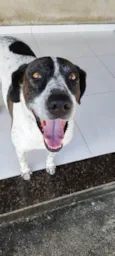 Jake