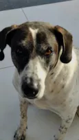 Jake