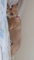 Nalla