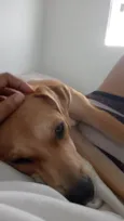 Nalla