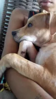 Nalla