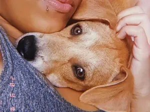 Cachorro raça SRD-ViraLata idade 7 a 11 meses nome Nalla 