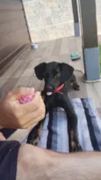 Dug