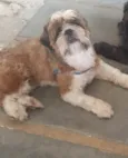 Fred junior 