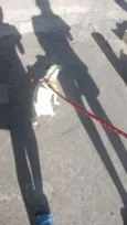 zuko