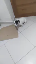 zuko