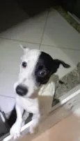 zuko