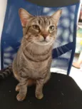 Lua