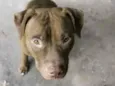 Juba