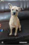 Nina