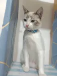 George