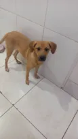 Bella