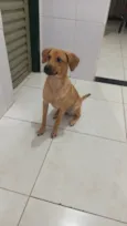 Bella