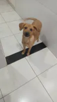 Bella