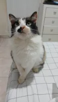 Lina